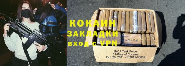 крисы Тайга